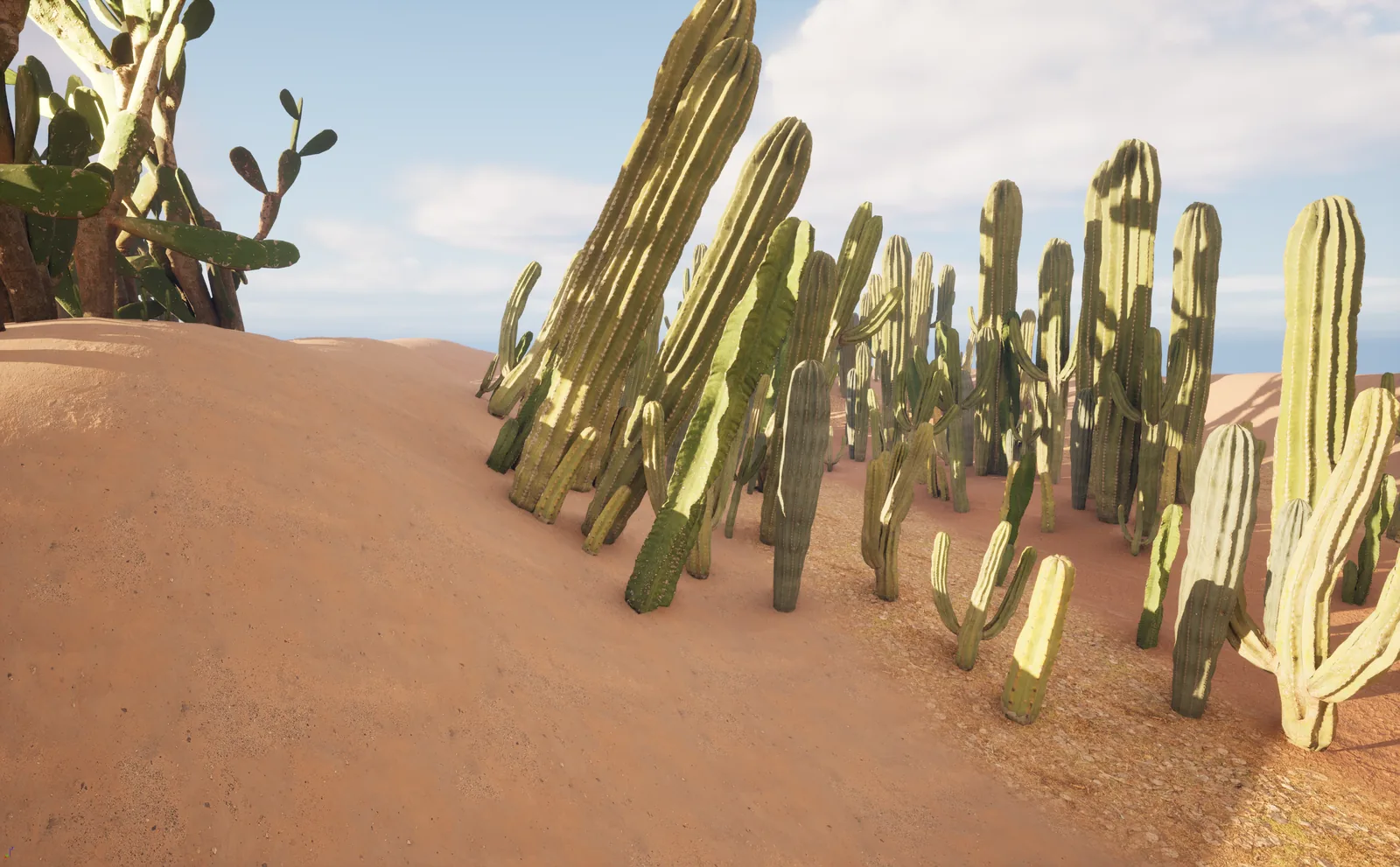Desert landscape with cacti built in Unreal Engine 5